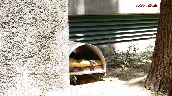 ساخت پناهگاه های کوچک برای حیوانات در شهرک اکباتان 5