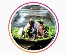 خانه گل گلوریا