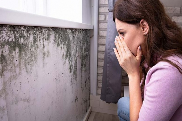 از پنجره‌های دو جداره استفاده کنین