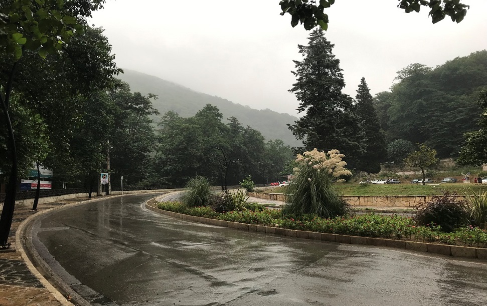 پارک جنگلی ناهارخوران