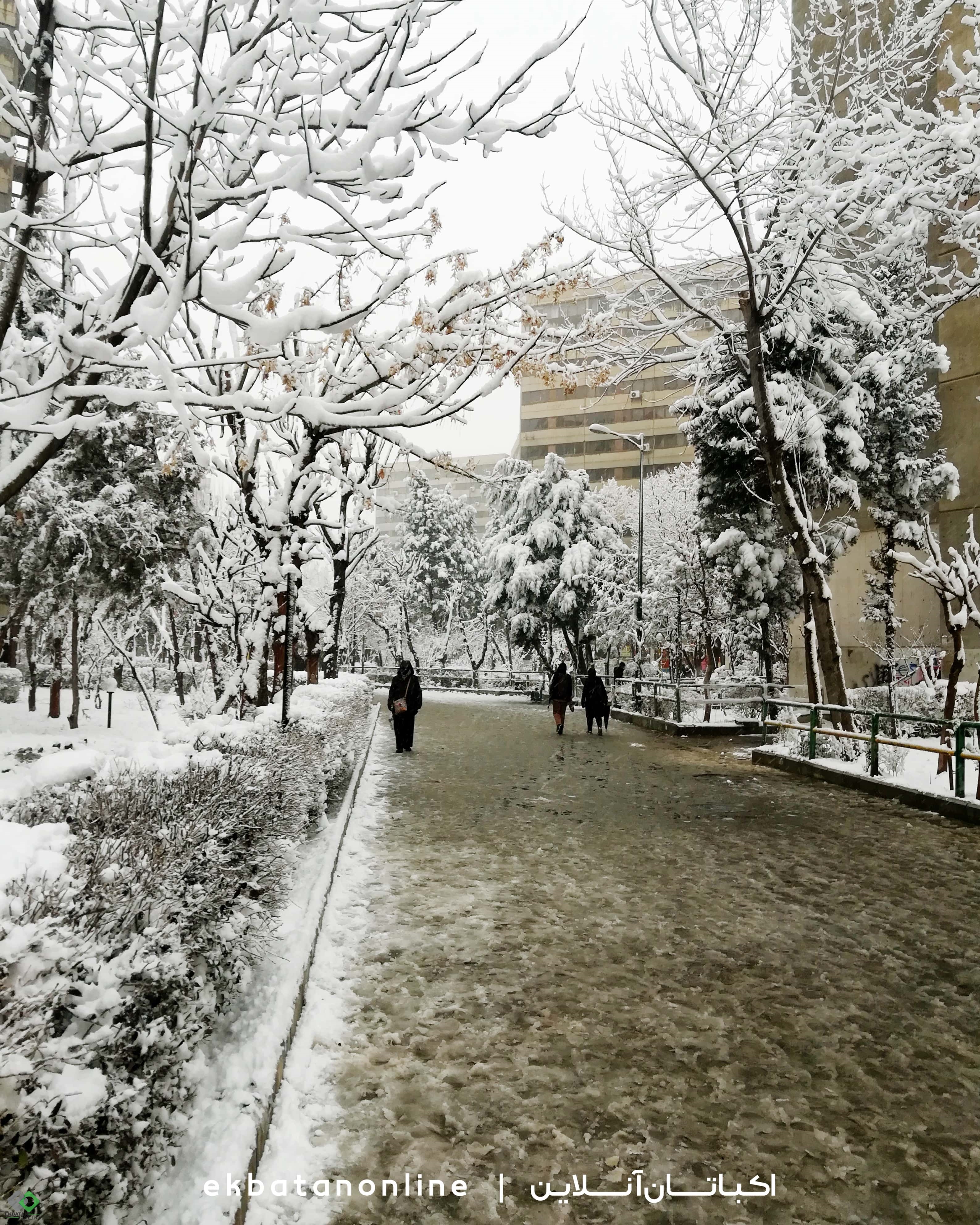 عکس ها و تصاویر اکباتان برفی 1