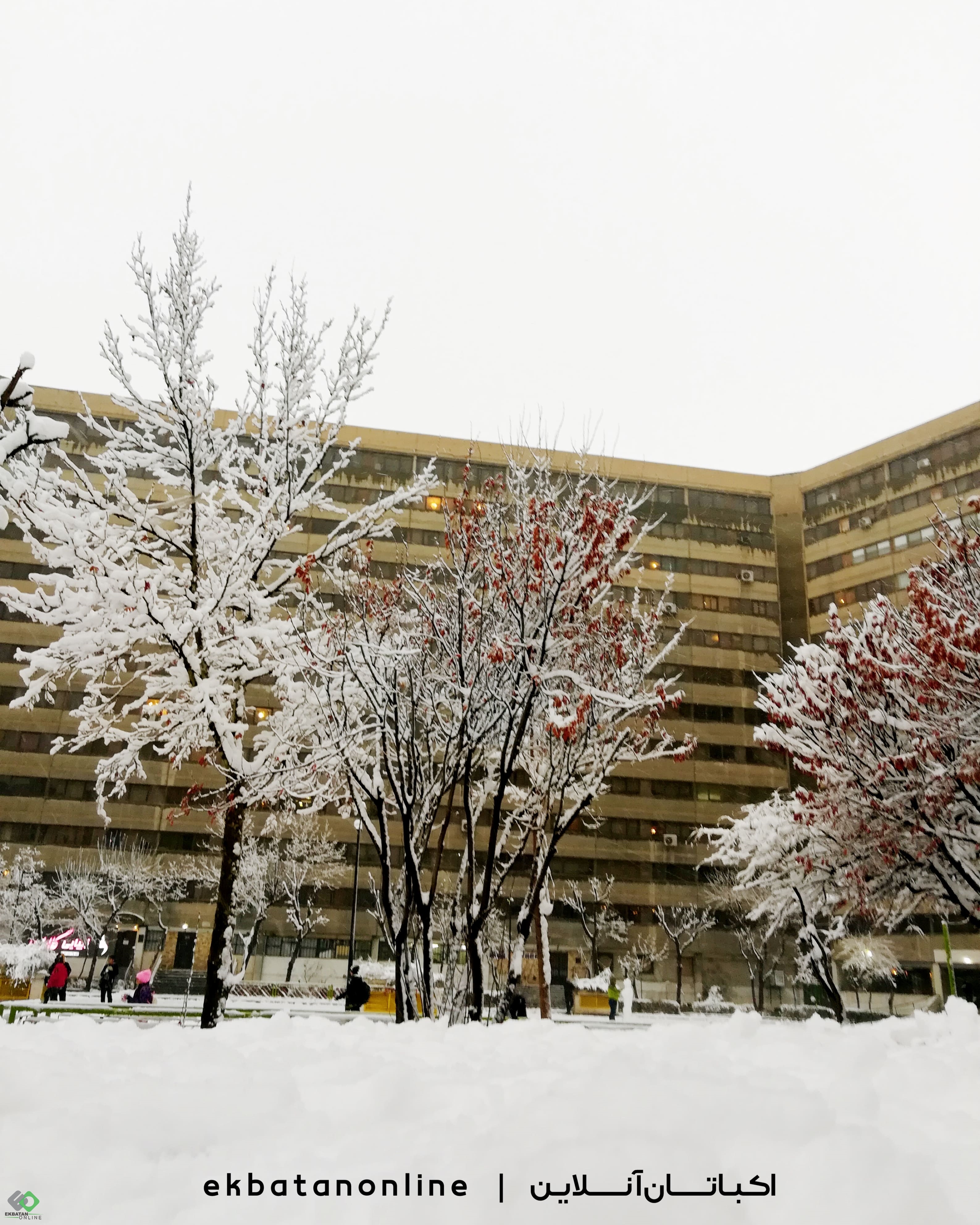 عکس ها و تصاویر اکباتان برفی 2