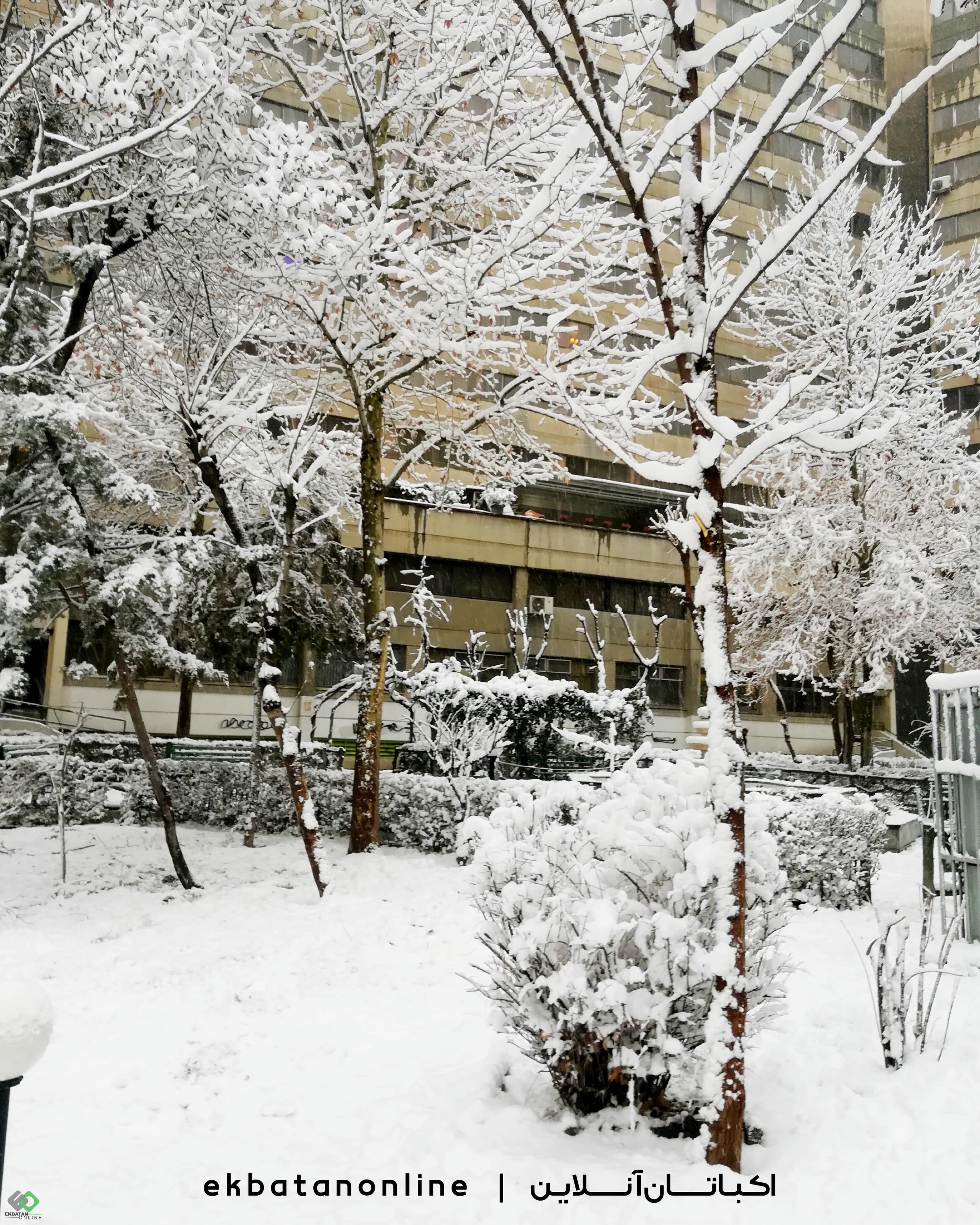 عکس ها و تصاویر اکباتان برفی 7