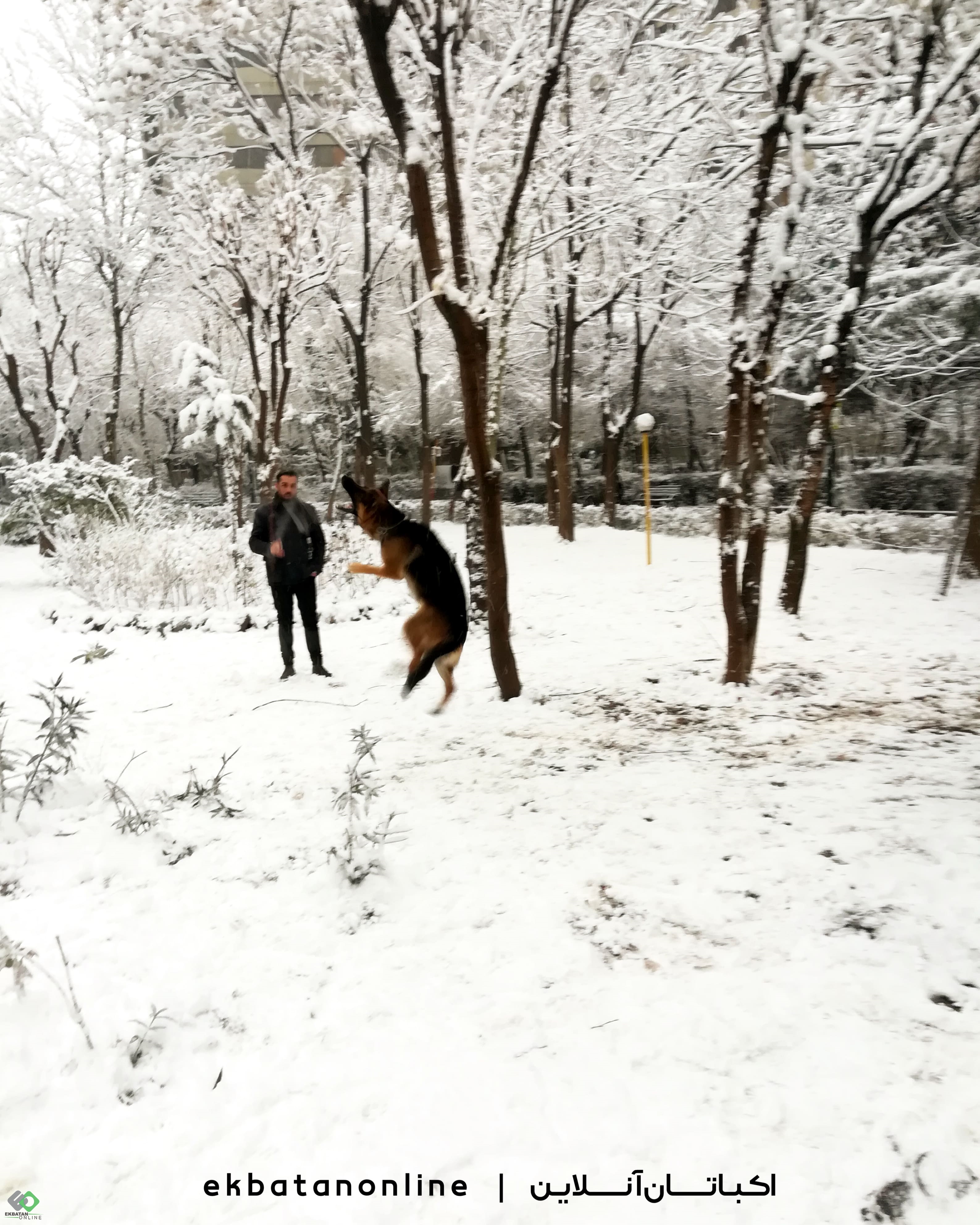 عکس ها و تصاویر اکباتان برفی 8