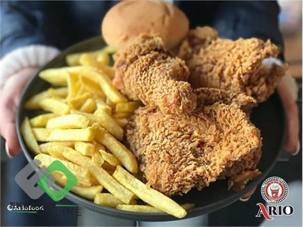 فست فود آریو 3