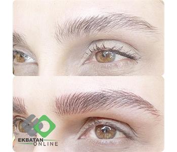 فرشته حکمتی منش 2