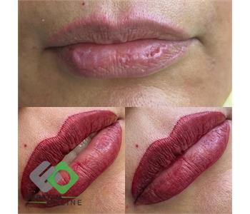 فرشته حکمتی منش 1