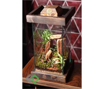 خانه گل گلوریا 1