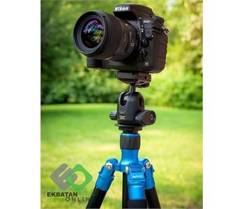 موسسه فرهنگی شاهنامه هنر فلسفی 2