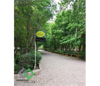 دکتر وحید قدری - مرکز مشاوره در اکباتان