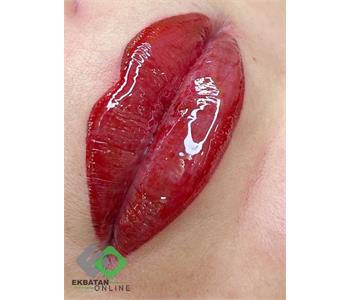 فرشته حکمتی منش 6