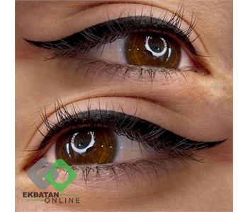 فرشته حکمتی منش 3