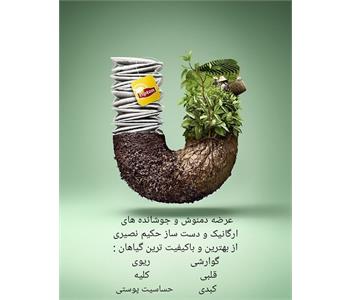 عطاری نصیری | عطاری در اکباتان 6