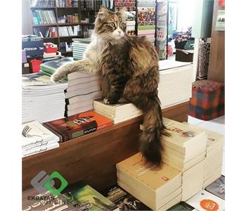 کتاب اکباتان | کتابفروشی در شهرک اکباتان 3