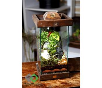 خانه گل گلوریا 2