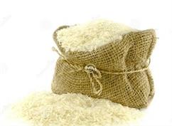 روش تشخیص برنج اصیل ایرانی!