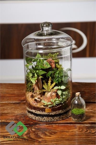 خانه گل گلوریا 3