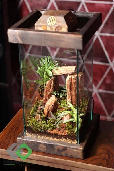 خانه گل گلوریا 1