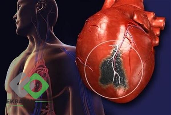 دکتر پریسا مولایی 4