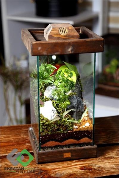 خانه گل گلوریا 2