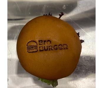 برو برگر - برگر در شهرک اکباتان 4