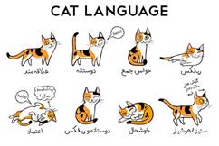 رمزیابی زبان گربه‌ای