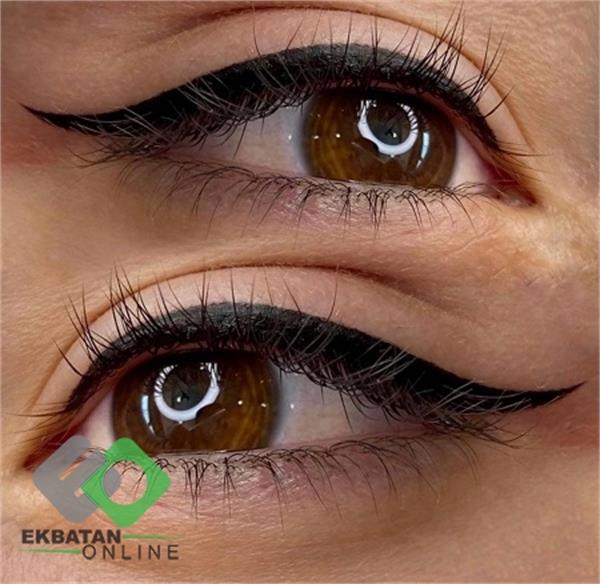 فرشته حکمتی منش 3