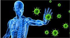 چگونه سیستم ایمنی بدن‌مان را در برابر ویروس کرونا تقویت کنیم؟