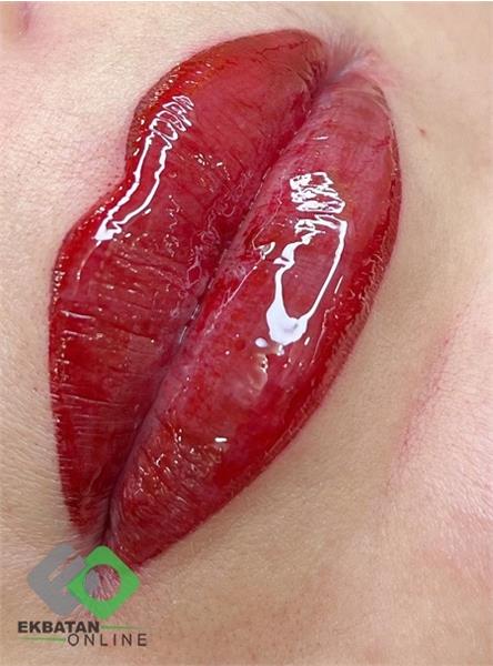 فرشته حکمتی منش 6